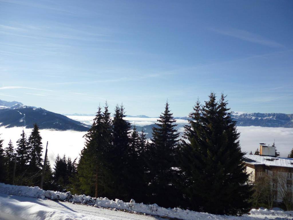Appartements Le Clos Des Gentianes Allevard Kültér fotó